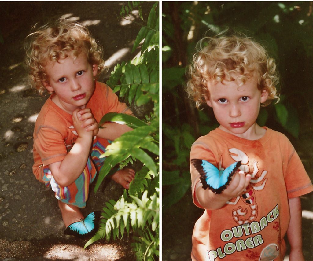 Young boy with Ulysses blue butterfly 