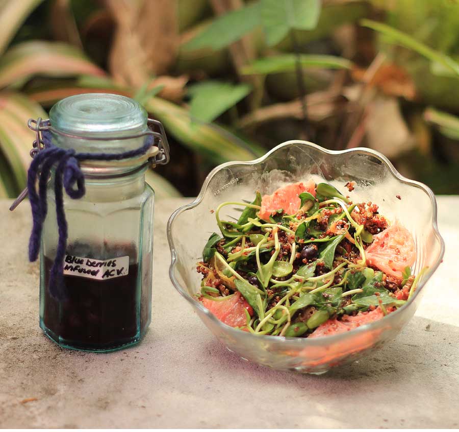 Blue berries infused in apple cider vinegar. Cacao nibs, pink grapefruit, snow pea sprouts, quinoa, blueberry salad