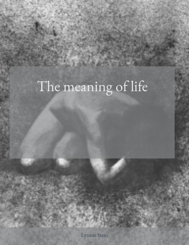 the meaning of life book cover