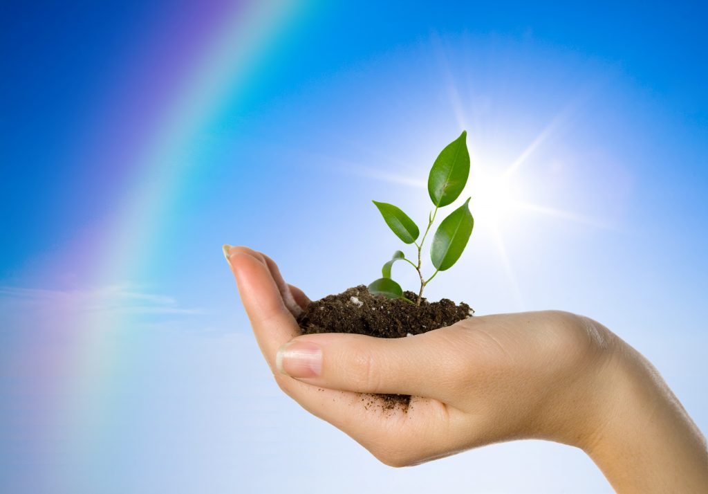 Hand with a plant on a background of the blue sky and a rainbow